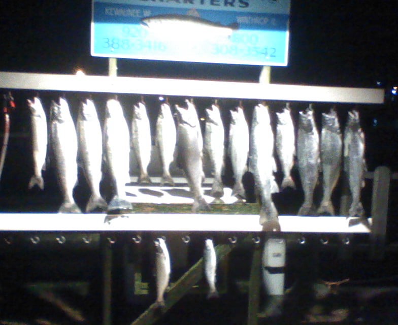 Fishin Again Charters 125